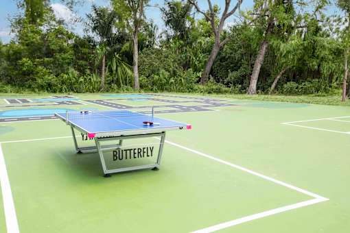A Butterfly table tennis table is in the middle of a green court.