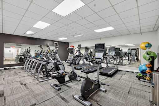 A gym with treadmills, exercise bikes, and other equipment.