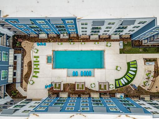 A swimming pool surrounded by a green patterned border.