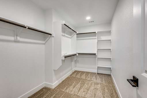 A white closet with shelves and a carpeted floor.