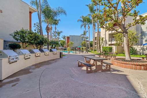 A sunny day at the outdoor picnic area with palm trees and benches.