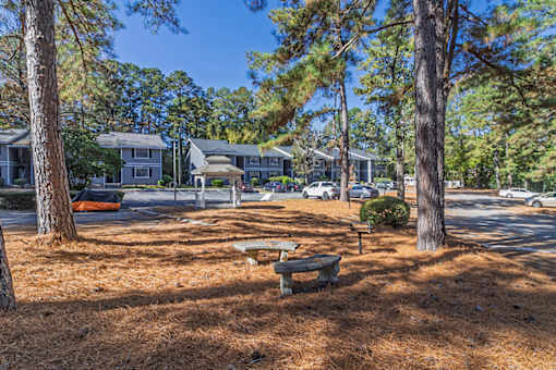 A park with a bench and trees in front of a row of houses.
