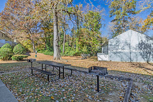 Element at 4411 Macon Apartments A picnic table and two benches are set up in a park with trees and a white tent in the background.