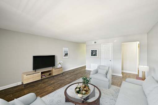 Affordable one bedroom apartment in Marietta GA with open living area and natural light