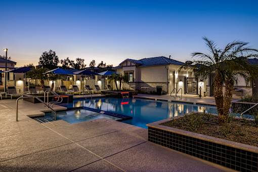 A swimming pool surrounded by a tiled floor and a palm tree.
