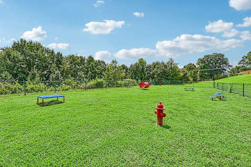 A red fire hydrant at Hawks Landing in Hickory NC sitting in the middle of a grassy field