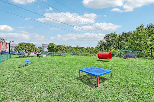 A blue pet obstacle at the Hawks Landing pet park in Hickory NC sitting in the middle of a grassy field
