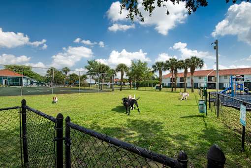A dog park with several dogs playing and a fence surrounding the area.