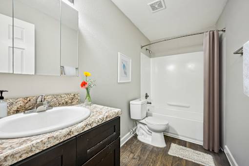Bathroom in Marietta affordable apartment with modern vanity