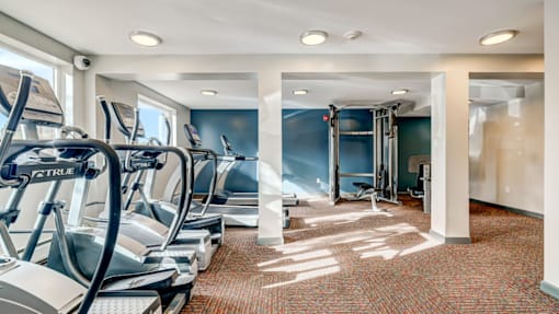 A gym with treadmills and exercise equipment.