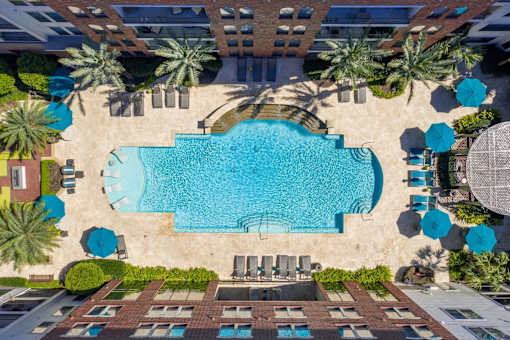 A large swimming pool surrounded by palm trees and lounge chairs.