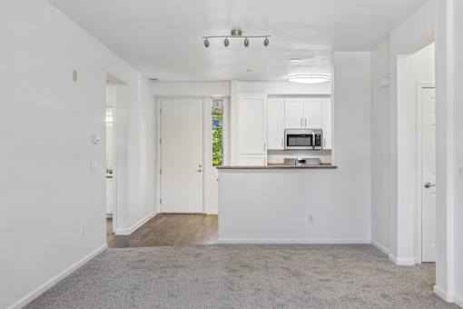 A spacious room with a grey carpet and a kitchen area with a microwave and oven.