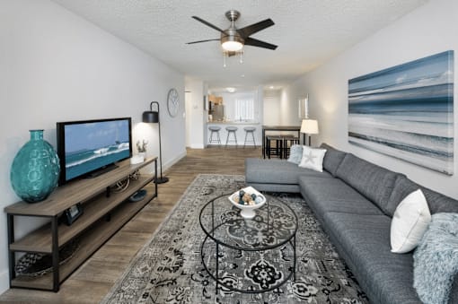 A living room with a grey couch, a coffee table, and a television.