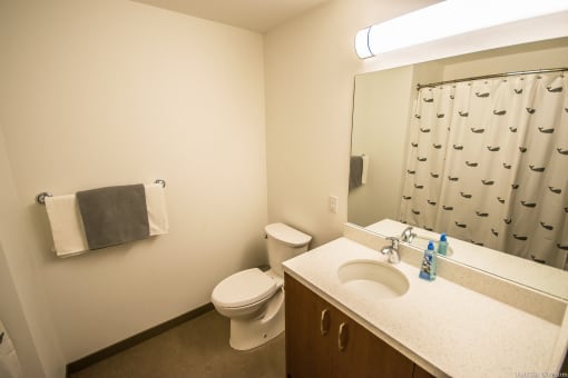 Bathroom with updated materials
