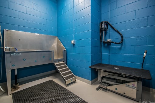Portland OR Apartments - Corbett Heights Pet Washing and Grooming/Drying Station