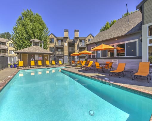 refreshing pool
