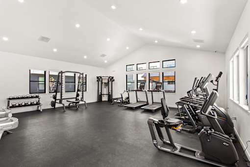A gym with treadmills, elliptical machines, and other cardio equipment.