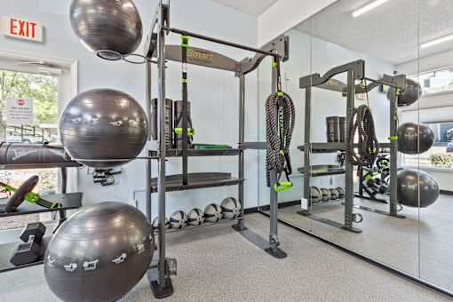 A gym with a variety of equipment including a squat rack, a bench, and a mirror.