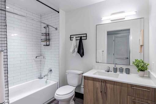 Pet-friendly home featuring a bathroom with a shower tub combo, modern fixtures, and clean design in a Miami Beach apartment.