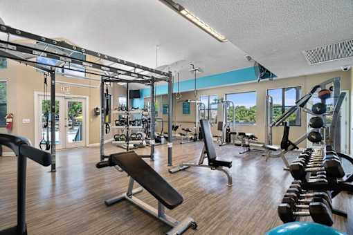 A gym with a variety of equipment including a bench press, a squat rack, and a rowing machine.