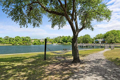 A tree stands in the foreground of a park with a lake in the background.