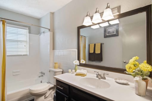 Audubon Briarcliff apartments in Atlanta Georgia photo of bathroom