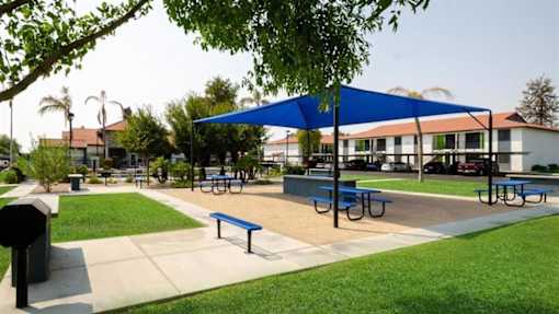 Pet Friendly Apartments in Mesa AZ - Mesa Station - Outdoor Picnic Area with Picnic Tables, a Shaded Area, Grilling Stations, and Nice Landscaping