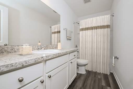 Pet Friendly Homes in Ruskin, FL - Ruskin Reserve - Luxury bathroom with vanity and wood style flooring
