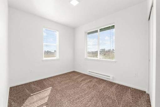 A room with carpeted floor and two windows.