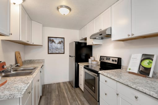 kitchens with stainless steel appliances