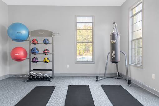 A room with a punching bag, exercise balls, and mats.