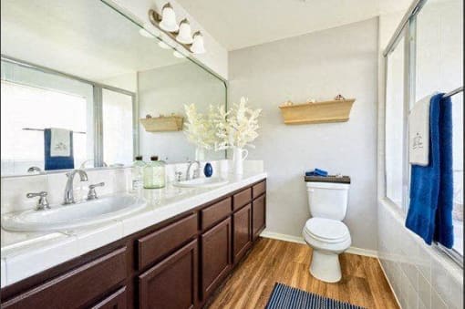 bathroom with 2 sinks