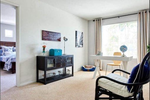 lots of natural light in apartment