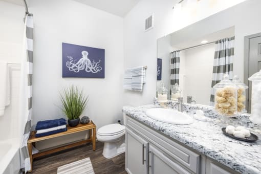 Pet-Friendly Apartments in Savannah, GA – The Palms at Chatham– a bathroom with a toilet sink and shower