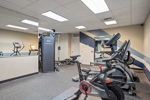 A gym with a row of stationary bikes and a treadmill.