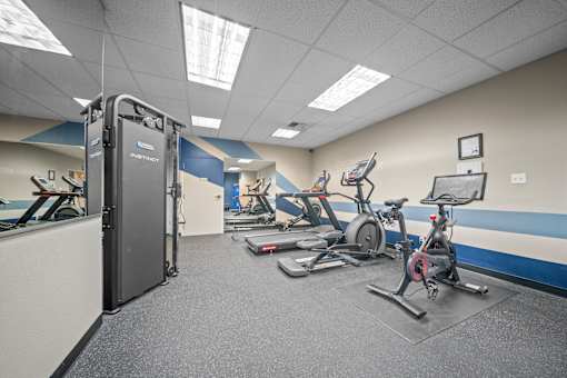A gym with a row of exercise bikes and a treadmill.