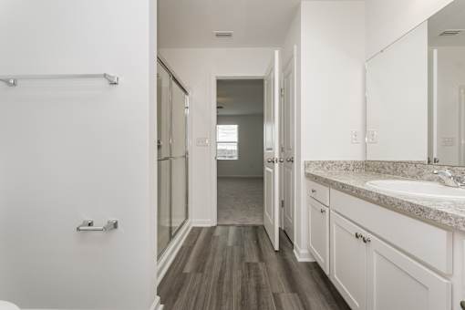 Homes in Ruskin, FL for rent - Ruskin Reserve - Luxury bathroom with vanity and wood style flooring