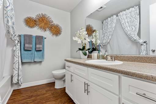 A bathroom with a toilet, sink, and a mirror.
