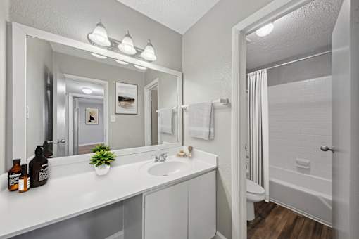 Pet-Friendly Apartments in Sandy Springs– Celebration at Sandy Springs – A bathroom with a white counter and a mirror above it.