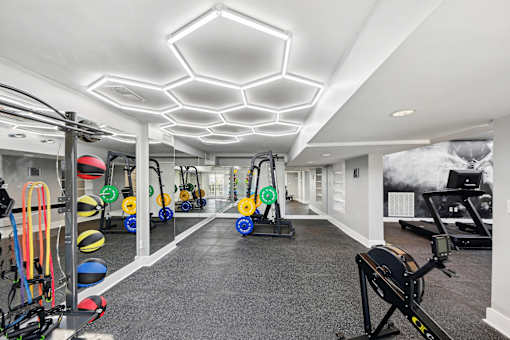 Pet-Friendly Apartments in Sandy Springs– Celebration at Sandy Springs – A well-lit gym with various exercise equipment.