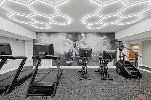 Sandy Springs, GA Apartments – Celebration at Sandy Springs – A gym with treadmills, exercise bikes, and a wall mural.