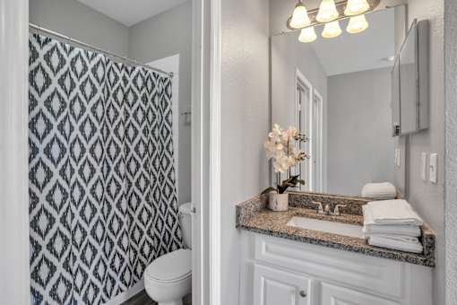 A bathroom with a patterned shower curtain and a granite countertop.