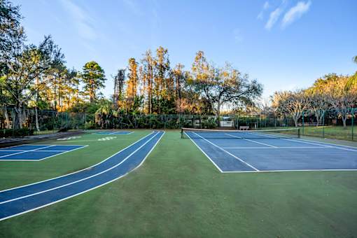 A tennis court surrounded by trees with a clear blue sky.
