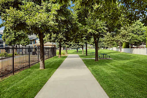 A walkway in a park with trees on both sides.