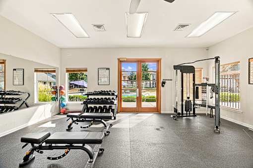 A gym with a row of treadmills and a row of dumbbells.