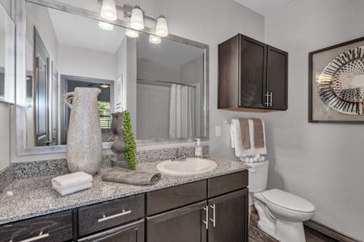 A bathroom with a white toilet and a large mirror above the sink.