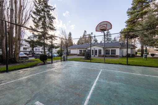 Basketball Court
