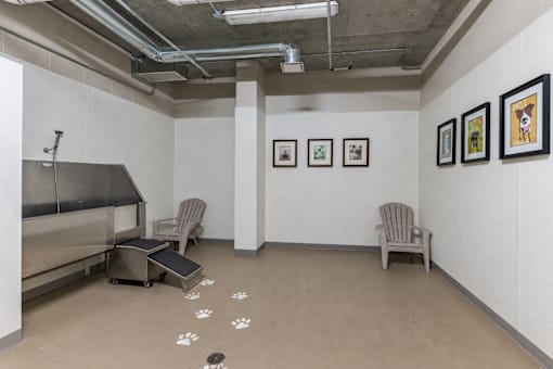 A room with a dog paw print on the floor and a dog kennel.