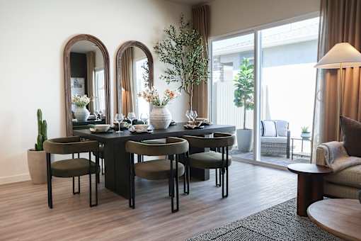 A dining table with chairs and a cactus plant in a pot.