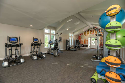Pet-Friendly Apartments In Lawrenceville, GA - Park On Sweetwater Apartments - Fitness Center Equipped With Strength And Cardio Machines, Weighted Balls, Yoga Balls, Workout Mats, And Windows For Sunlight